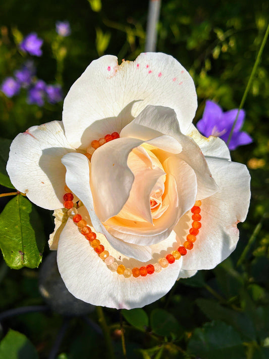 Was mit drei kleinen Steinen begann und wohin es mich führte