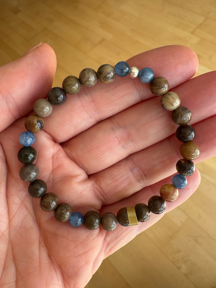 Edelsteinarmband versteinertes Holz mit Disthen